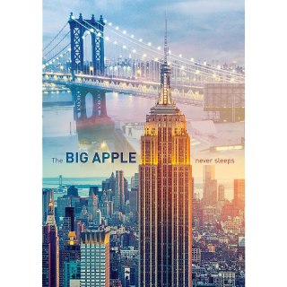 PUZZLE 1000 PIÈCES NEW YORK SUR LE MONDE TREFL 10393 TR