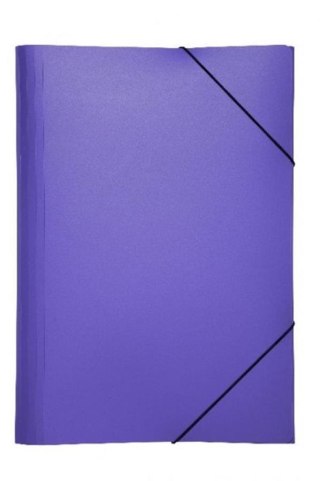 LIME AVEC GOMME A4 TREND VIOLET DURABLE 21613-12 DURABLE