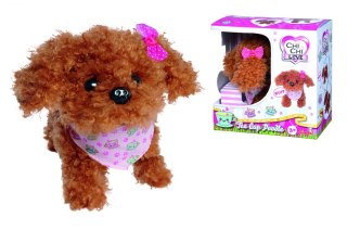 PELUCHE CHIEN 19X11X19 CHICHI SIMBA WB SIMBA