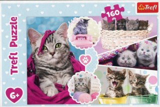 PUZZLE 160 ELEMENTS CHATS MIGNONS TREFL 15371 TR