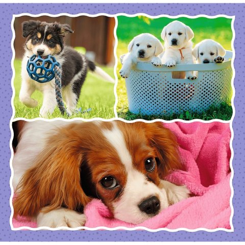 PUZZLE 3EN1 CHIENS MIGNONS PUD TREFL 34854 TR