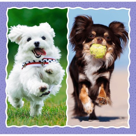 PUZZLE 3EN1 CHIENS MIGNONS PUD TREFL 34854 TR