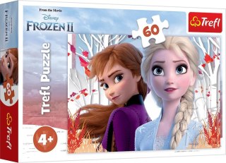 PUZZLE 60 ELEMENTS LE MONDE D'ANNA ET ELSA TREFL 17333 TR