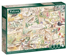 Puzzles de 1000 pièces FALCON Cartes postales avec des oiseaux