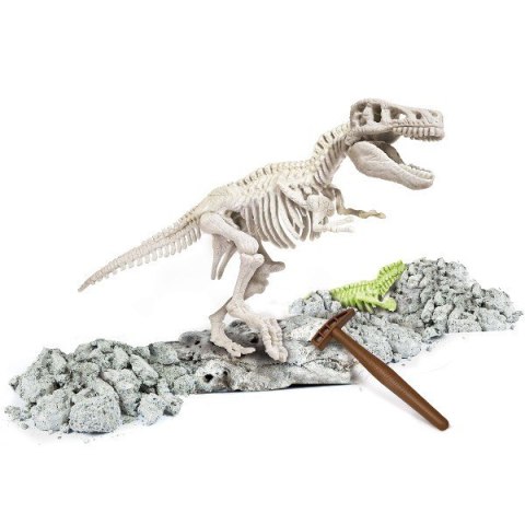CLEMENTONI Fossile et T-Rex Fluorescent