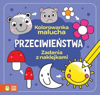 KSIAZECZKA EDUK 200X190 PRZECIWIENSTWA NAKL ZS WYDAWNICTWO ZIELONA SOWA