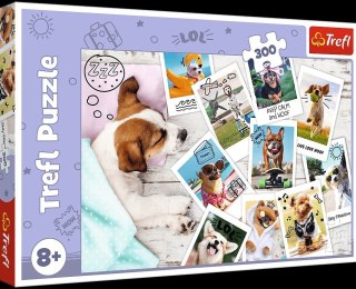 PUZZLE 300 pcs. PHOTOS DE VACANCES TREFL PUD 23003 TREFL