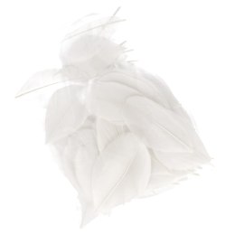 PLUMES DÉCORATIVES BLANCHES 5-8CM 3G CRAFT WITH FUN 463630