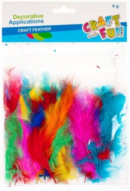 PLUMES DÉCORATIVES CRAFT WITH FUN 308968