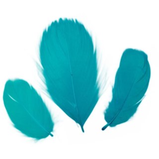 PLUMES DÉCORATIVES 16G TURQUOISE CLAIR TITANUM SÉRIE CRAFT-FUN