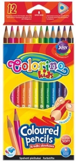 CRAYONS 12 COULEURS TRIANGULAIRE COLORINO PATIO 51798
