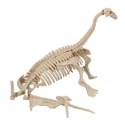 Squelette de dinosaure dans un tube