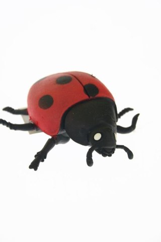 LADYBUGGUM AVEC PENNY 9CM A141B-DB HIPO