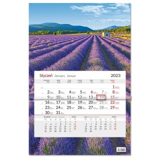 CALENDRIER UNIDAY 20X45CM SPT SB10 1/10 SAPT