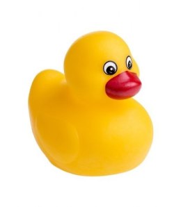 Couineur pour canard de bain AM toys 512 AM toys
